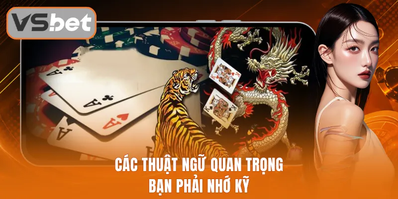 Các thuật ngữ quan trọng bạn phải nhớ kỹ