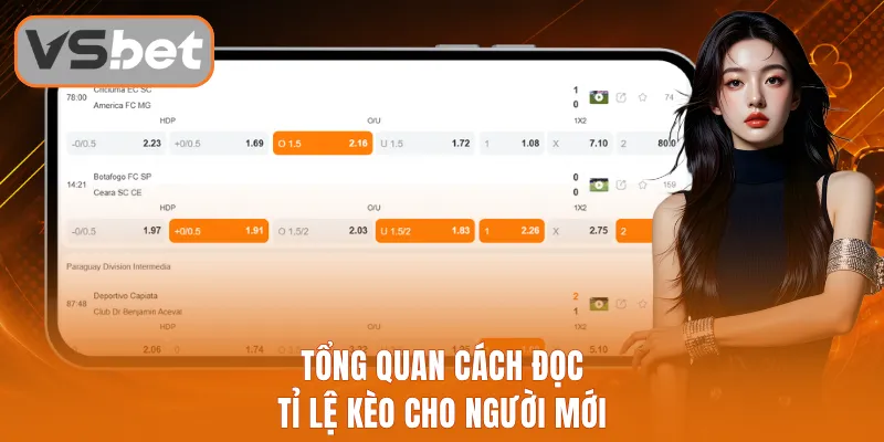 Tổng quan cách đọc tỉ lệ kèo cho người mới